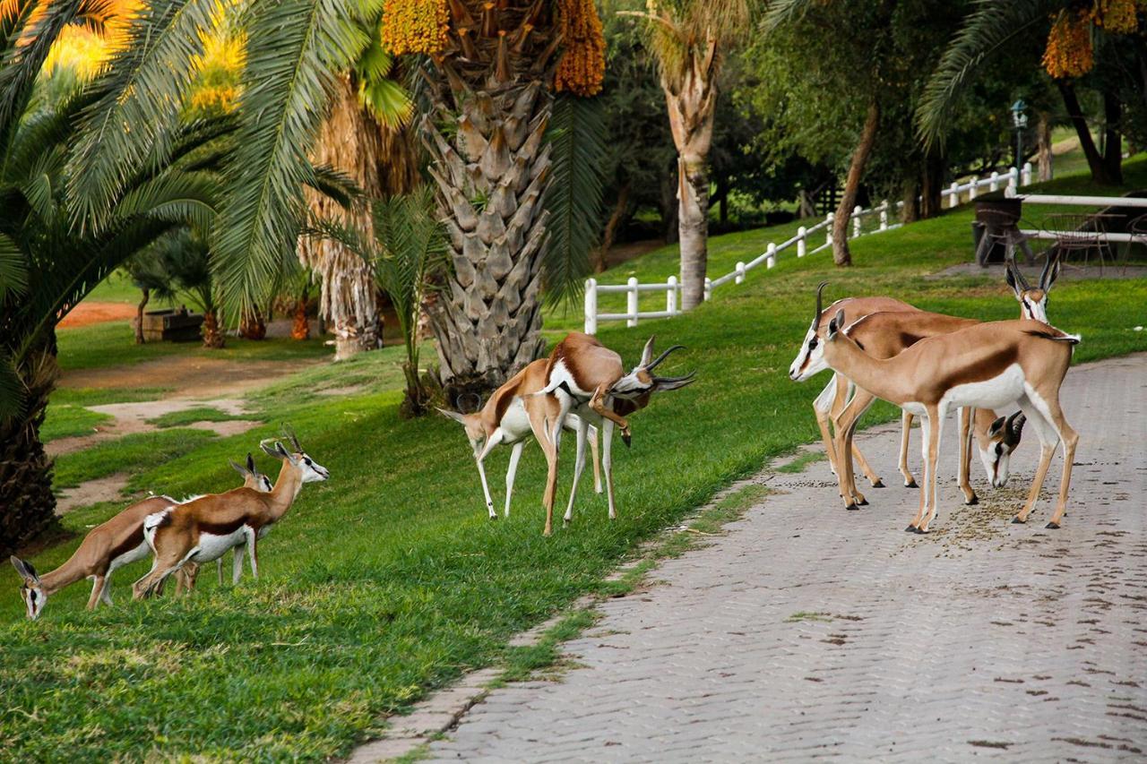 Ikaia River Lodge Keimoes エクステリア 写真